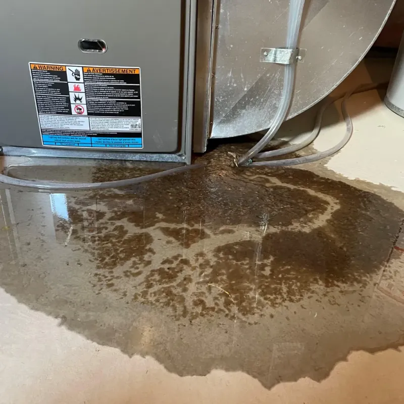 Appliance Leak Cleanup in Reynoldsville, PA